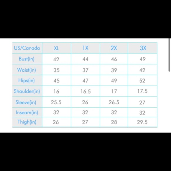 ⭐️HOST PICK⭐️ Plus Size Denim Dress with Back Zipper - Picture 5 of 5